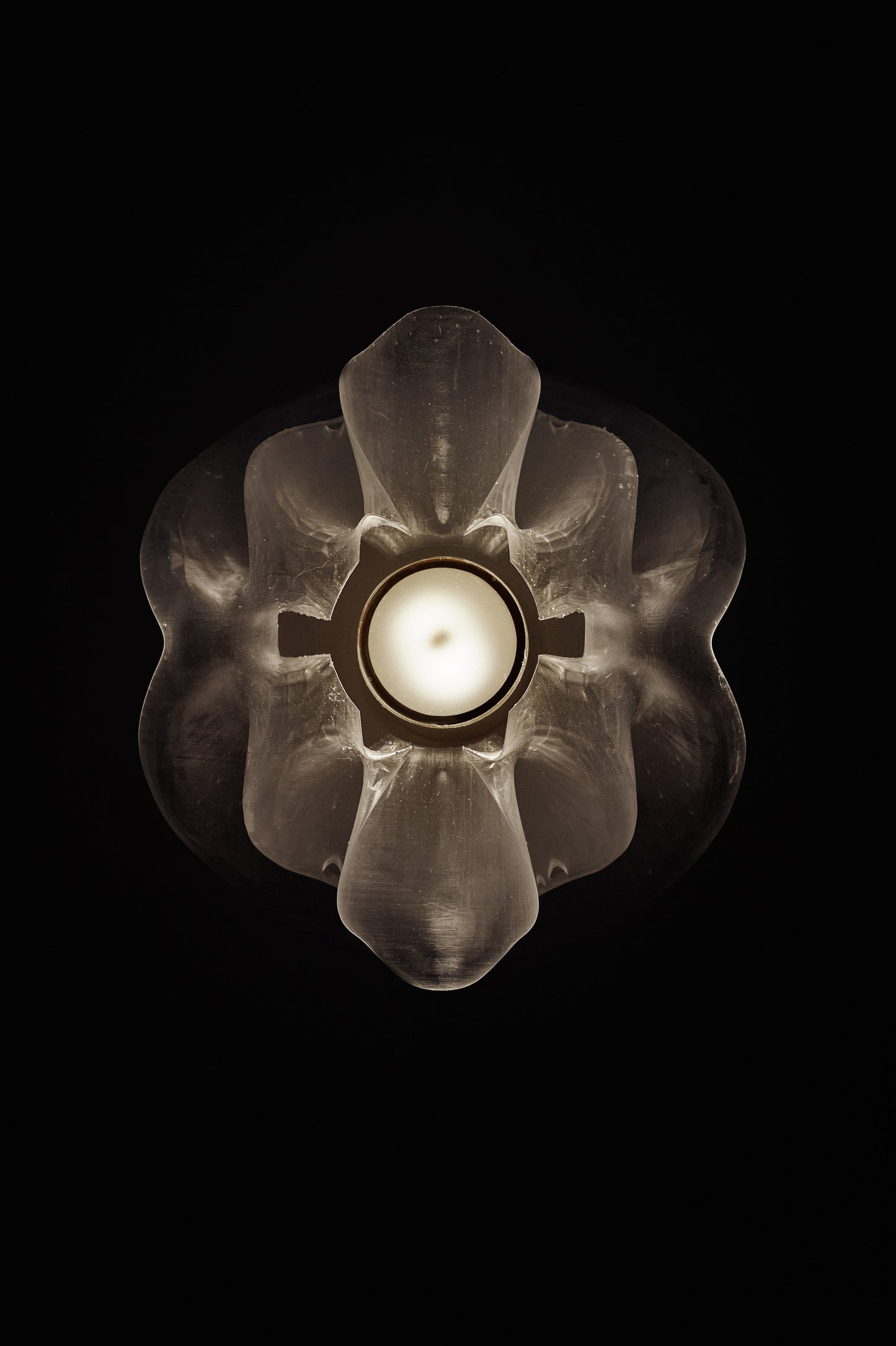 Anthos Sconce